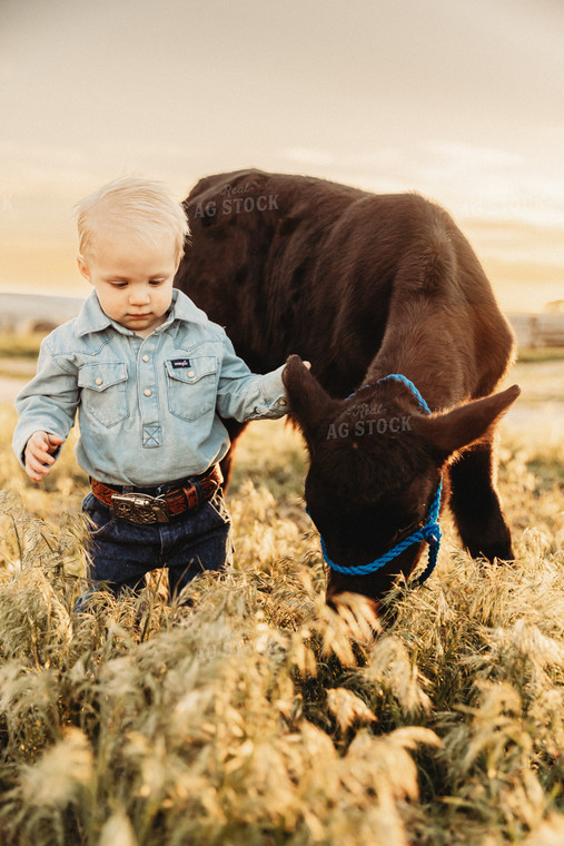 Farm Kid with Calf 61145