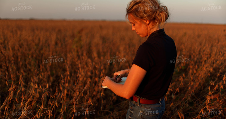 Female Agronomist Walking Soybean Field 8678