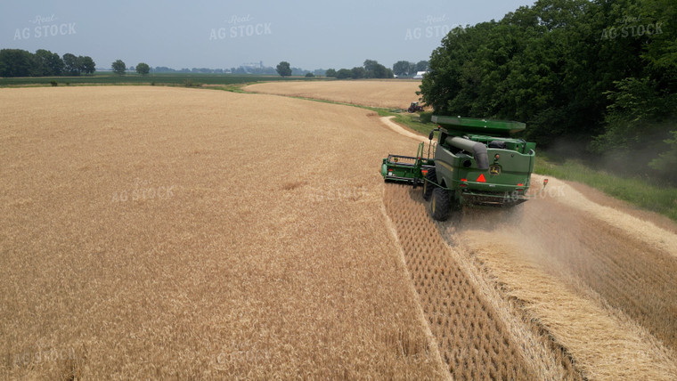 Wheat Harvest 115191