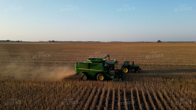 Soybean Harvest 115192