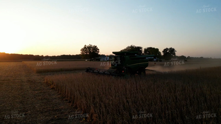Soybean Harvest 115194