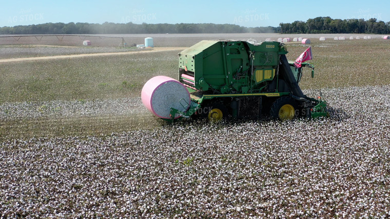 Cotton Harvest 79435