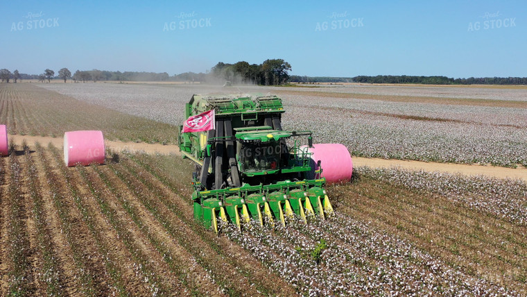 Cotton Harvest 79440