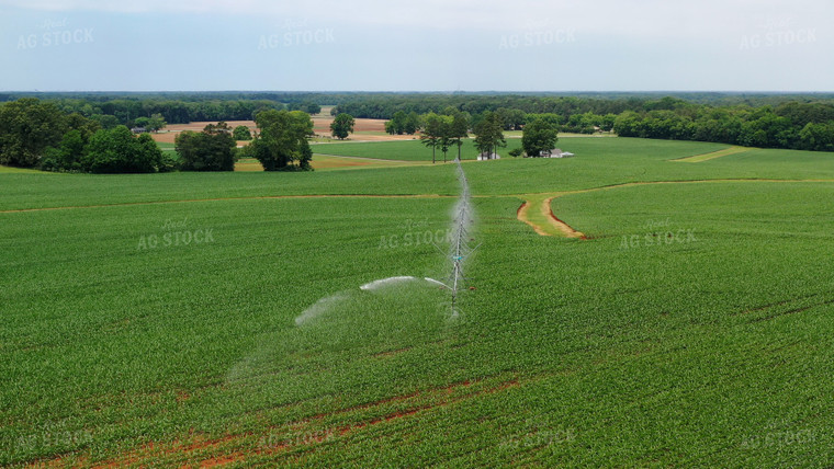 Pivot Irrigation System 79460