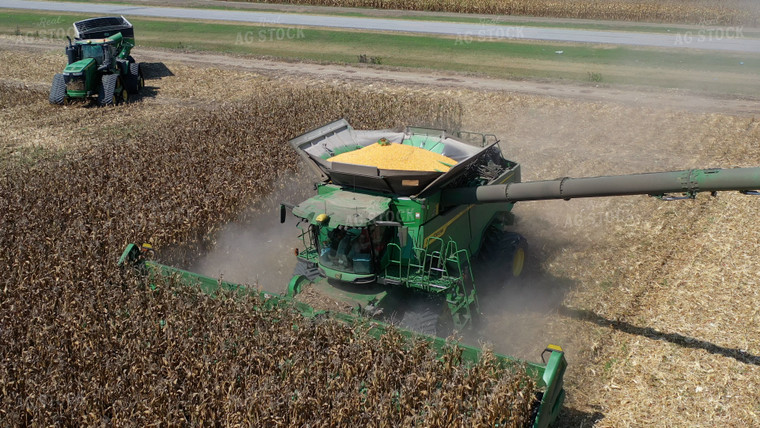 Corn Harvest 79513