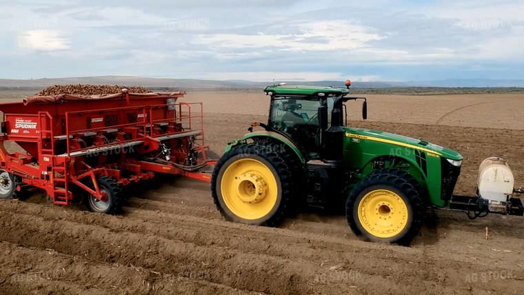 Potato Harvest 146030