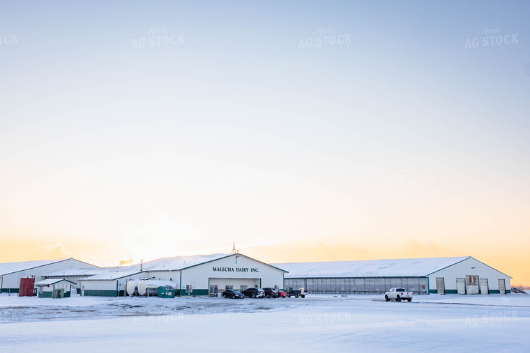 Cattle Barns in Winter 152422