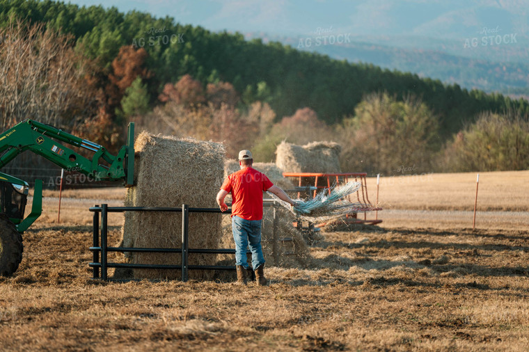 Putting out Hay in the Bale Feeder 125230