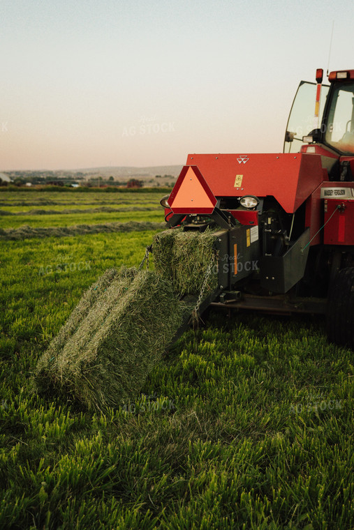 Baling Hay 83114