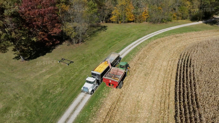 Dumping Grain into Semi Trailer 52682