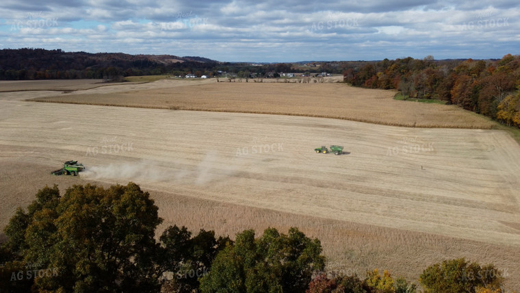 Soybean Harvest 52683