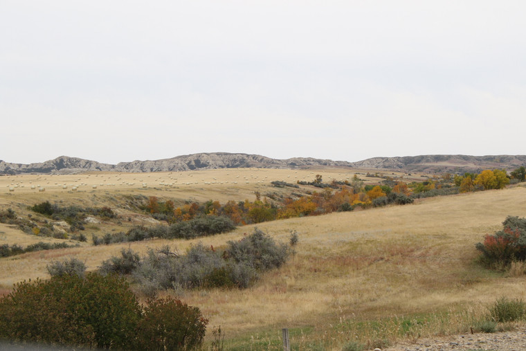 Hay Bales in Foothills 183012