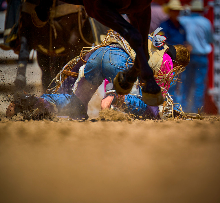 Saddle Bronc Riding 177008