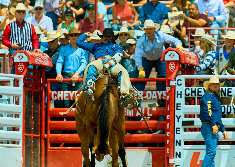 Saddle Bronc Riding 177009