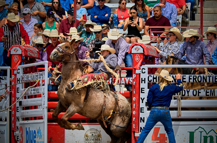 Saddle Bronc Riding 177014