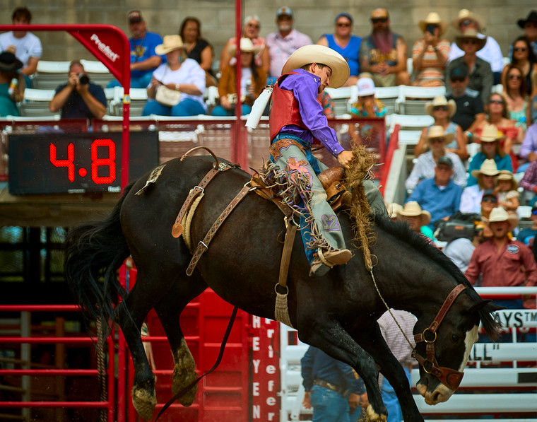 Saddle Bronc Riding 177016