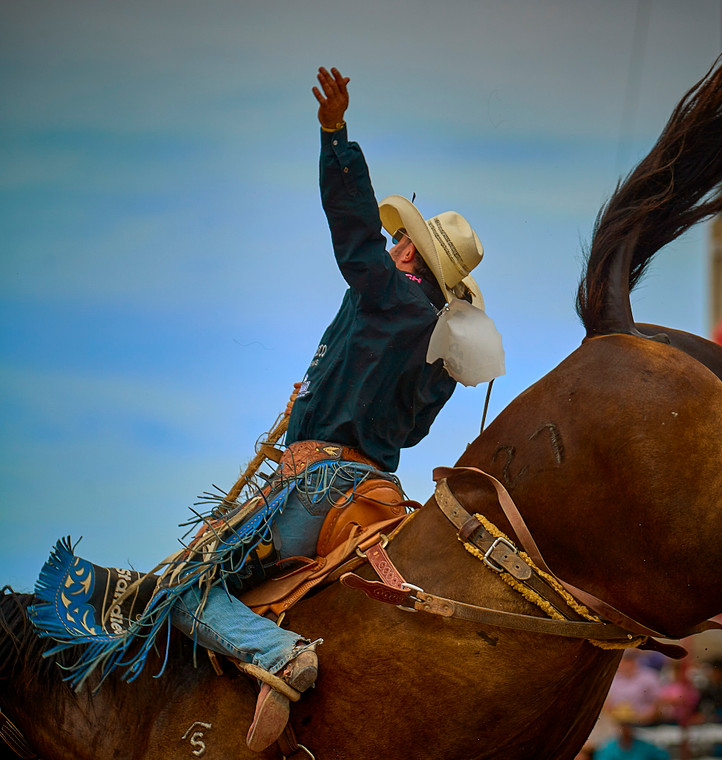 Saddle Bronc Riding 177026