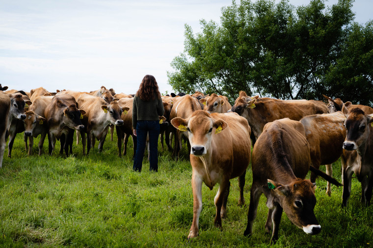 Female Farmer in Pasture with Jersey Cattle 181029