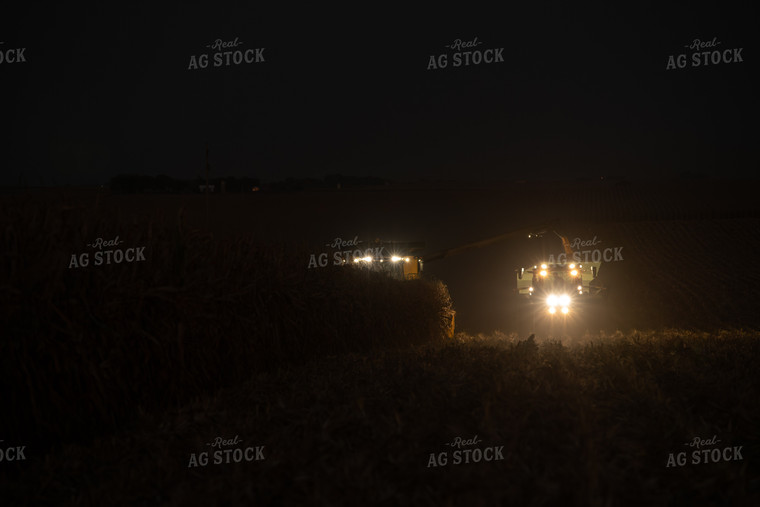 Corn Harvest 76497