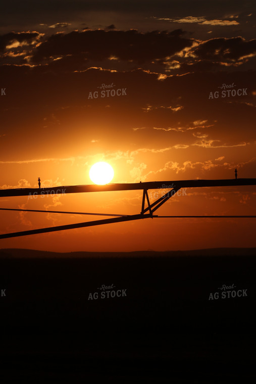 Pivot Irrigation 82130