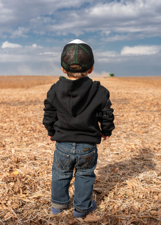 Farm Kid in Field 185010