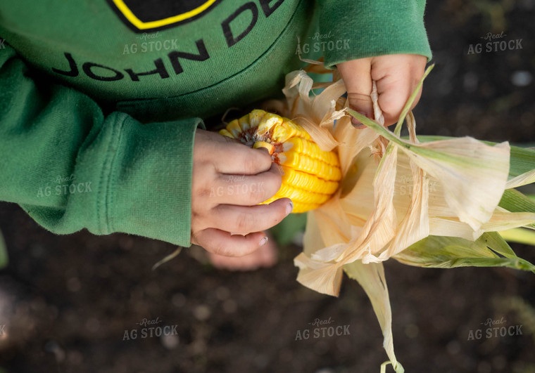 Farm Kid Holding Ear of Corn 185040