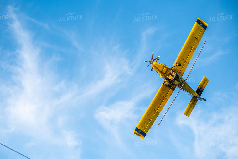 Crop Duster 185115