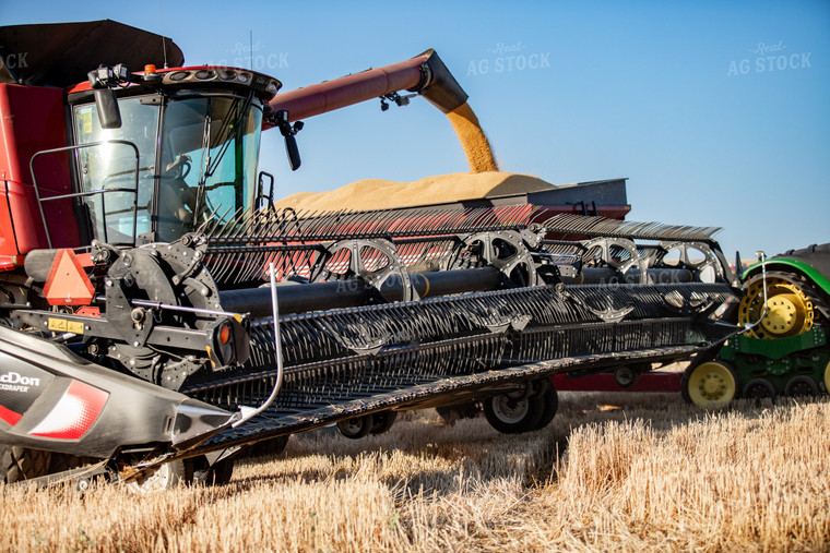 Wheat Harvest 188027