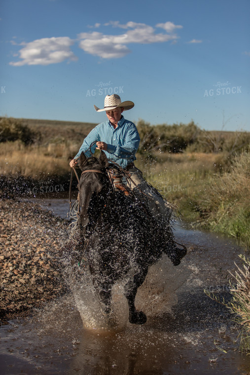 Ranch Kid Riding in Creek 188050