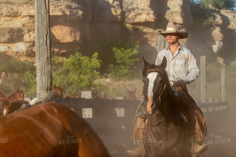 Rancher on Horseback 188055