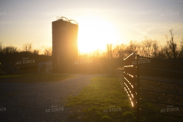 Sunset on the Farm 191024