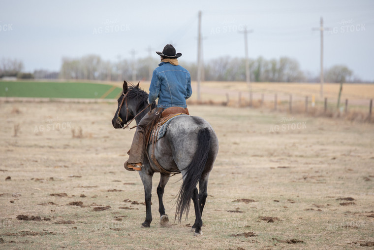 Rancher on Horseback 190003