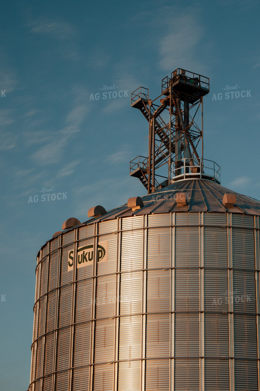 Grain Bin 67580