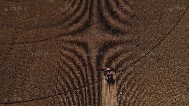 Corn Harvest 114078