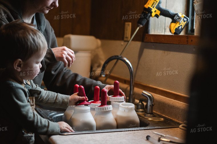 Preparing Calf Bottles 196022