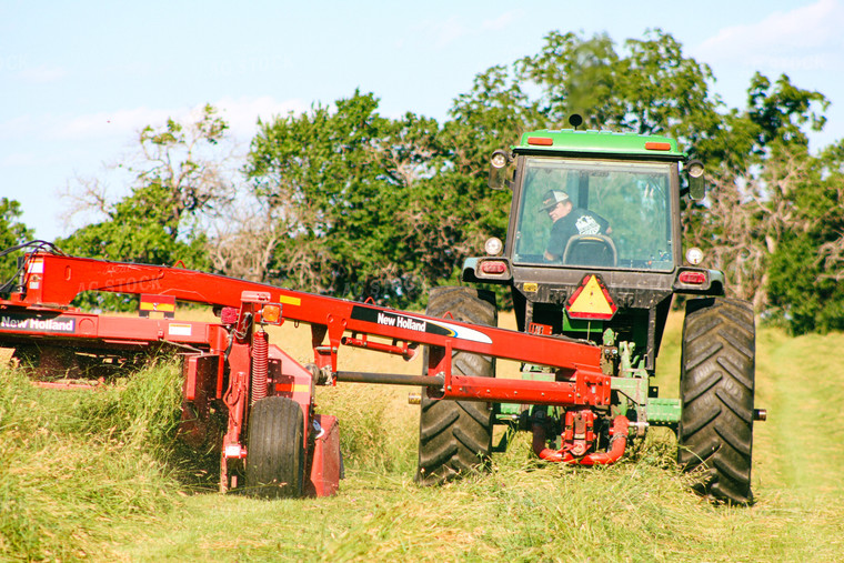 Mowing Hay 214033