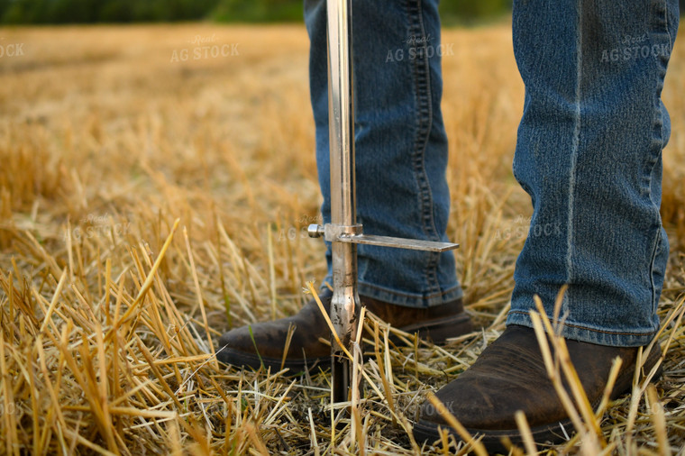 Soil Sampling 191212