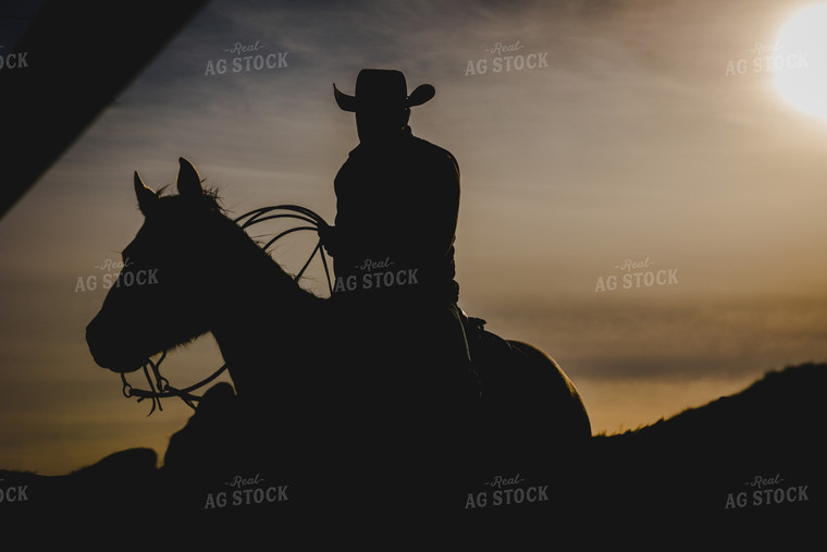 Rancher on Horseback 219042