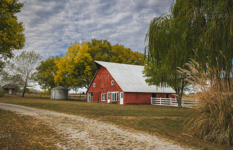 Red Barn in Fall 219043