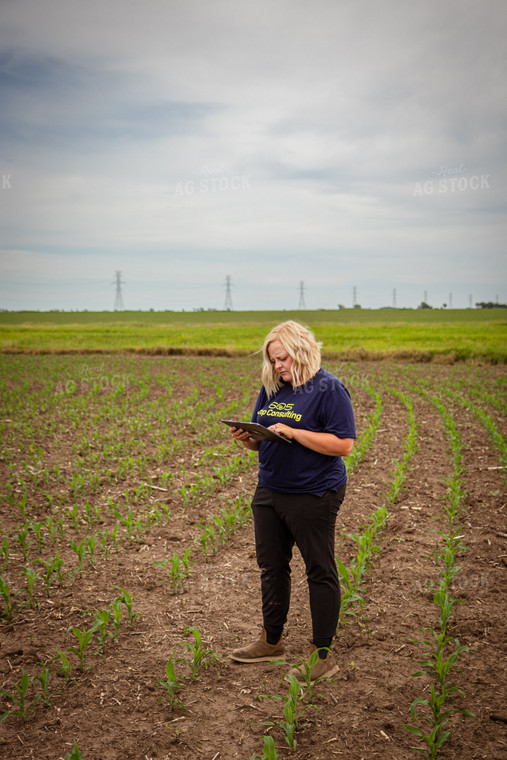 Female Agronomist Scouting Field 67747