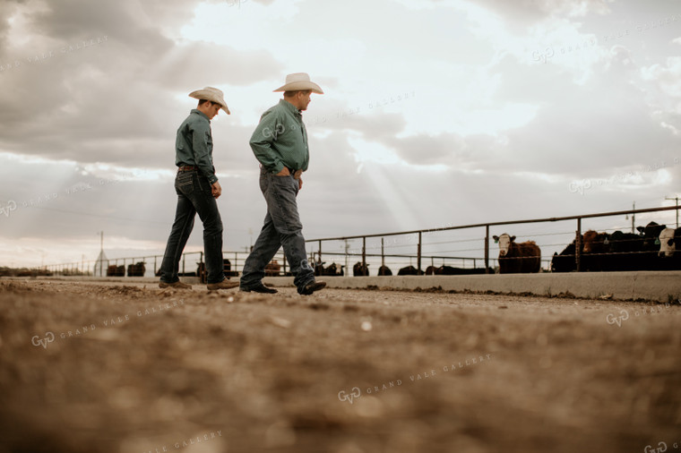 Feedyard 3046