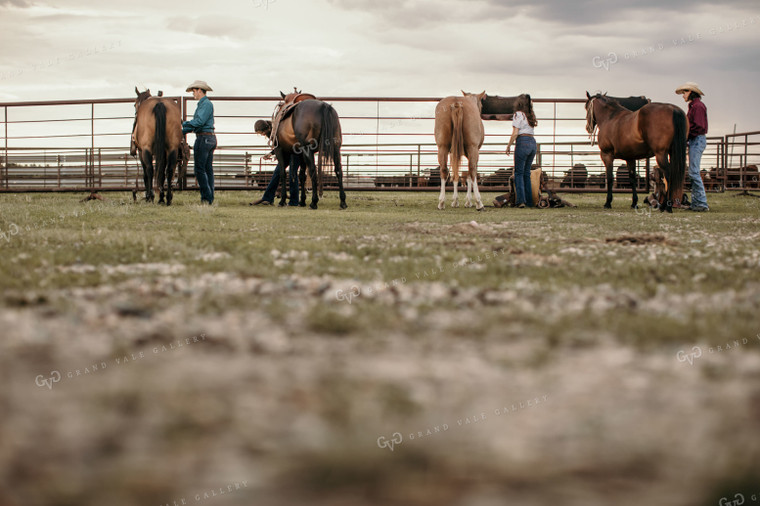 Feedyard 3059