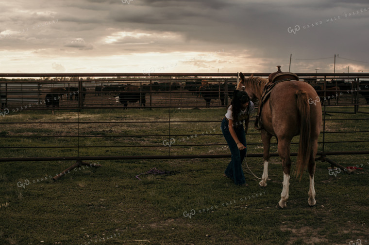 Feedyard 3062