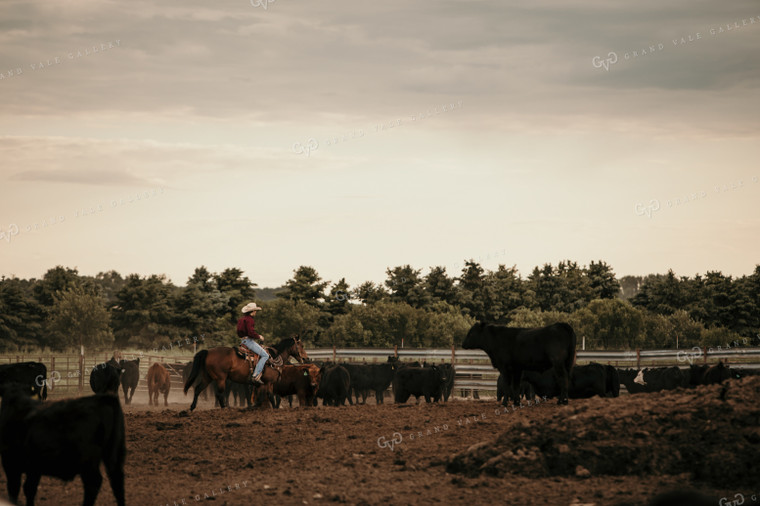 Feedyard 3071