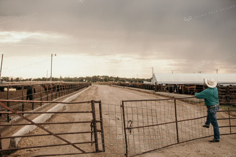 Feedyard 3075