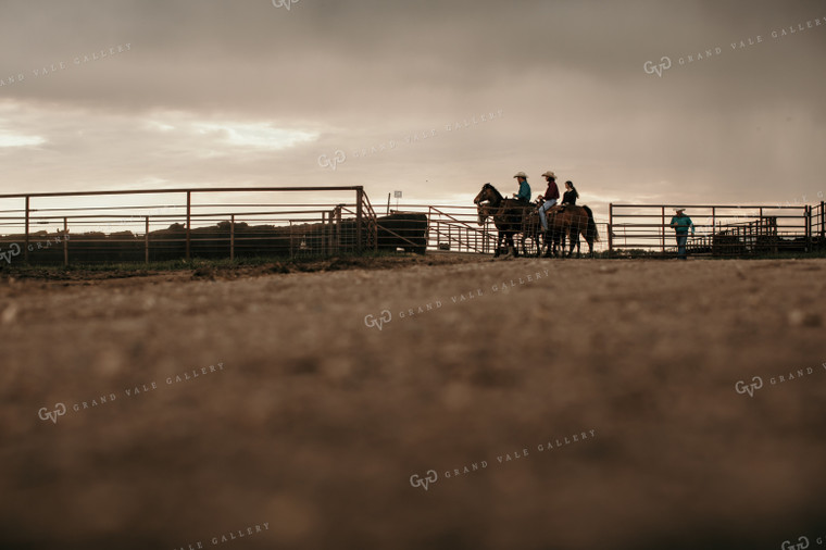 Feedyard 3093