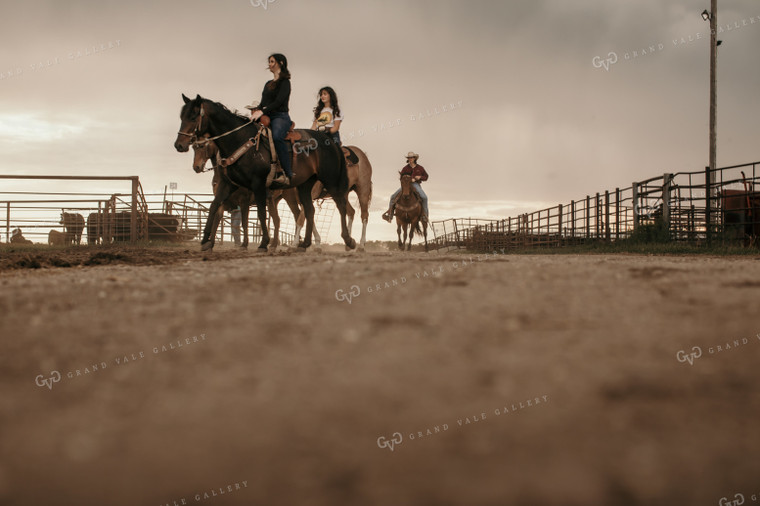 Feedyard 3096