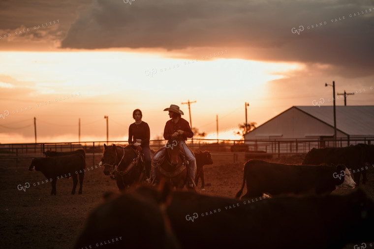 Feedyard 3115