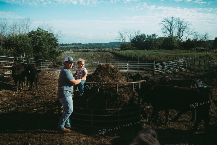 Farm Family Feeding Cows 3145