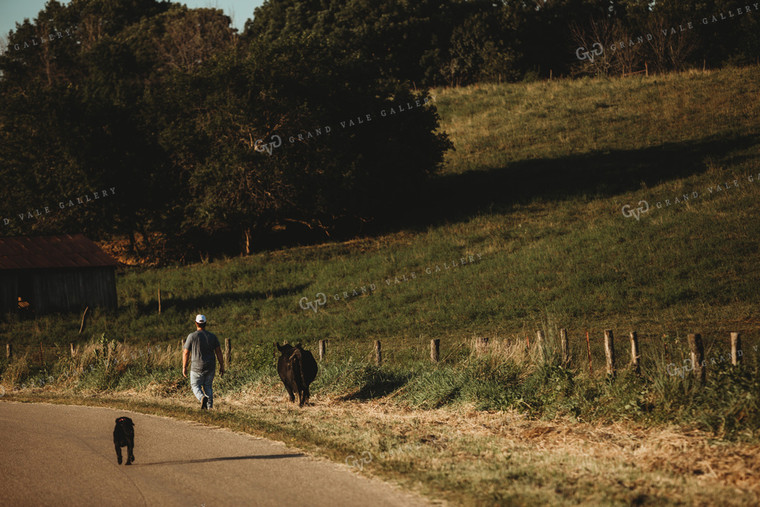 Farmer with Cow and Dog 3156